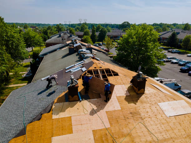 Best Commercial Roofing Services  in Wedgefield, FL