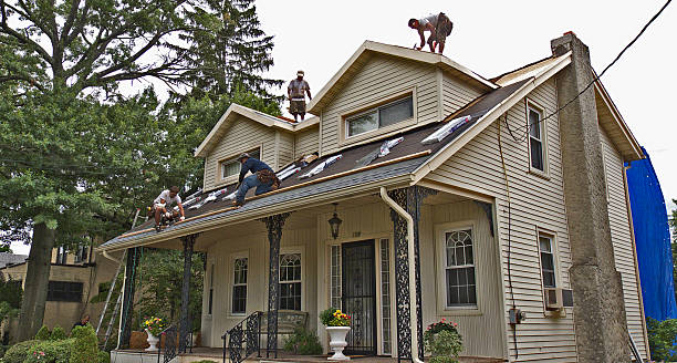 Best Local Roofing Companies  in Wedgefield, FL