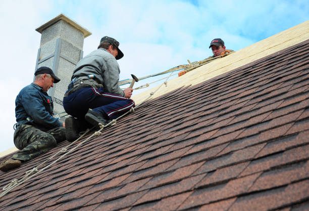 Best Tile Roofing Contractor  in Wedgefield, FL